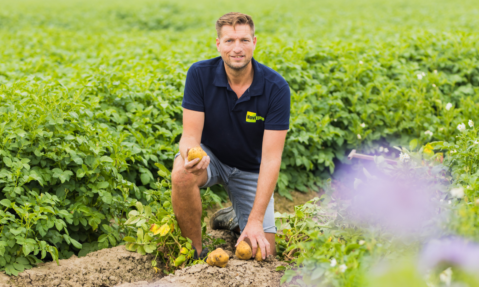 aardappelboer in het veld